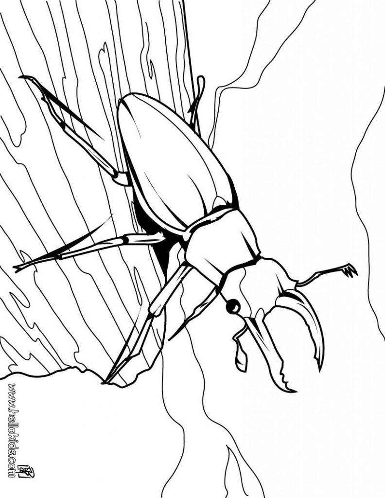 Bug Coloring Pages Photos – Animal Place