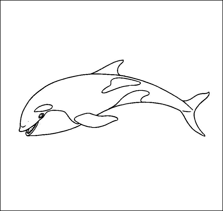 free printable killer whale coloring pages for kids