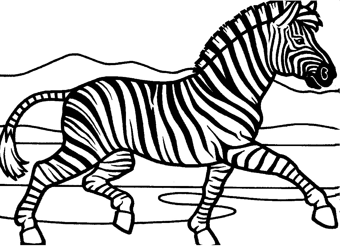 Zebra Coloring Page for Kids Images – Animal Place