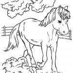 Baby Horse Colouring Pages Picture