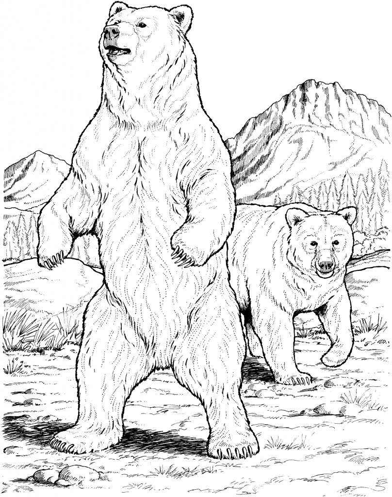Bear Coloring Page for Kids Animal Place