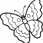 Butterfly Coloring Page Photo