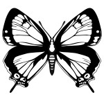 Image of Butterfly Coloring Page