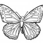 Photo of Butterfly Coloring Page