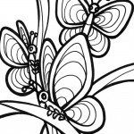 Picture of Butterfly Coloring Page for Kids