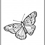 Pictures of Butterfly Coloring Page for Kids