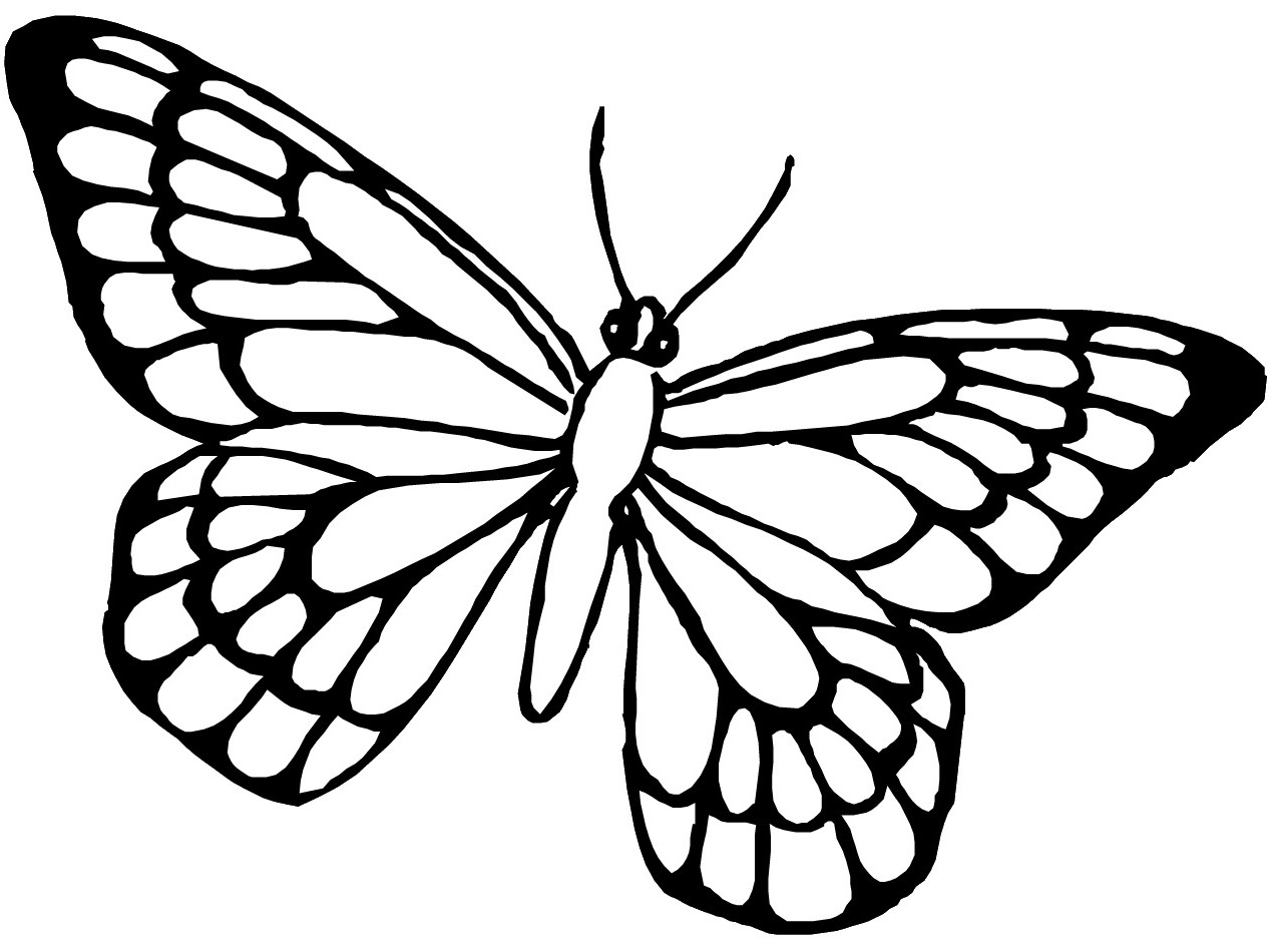 Free Printable Butterfly Coloring Pages For Kids - Animal Place
