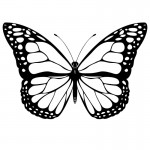 Photo of Butterfly Coloring Pages Photo