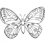 Butterfly Coloring Pages Printable Photo