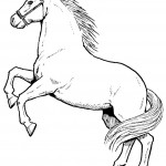 Image of Coloring Page of Horse