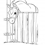 Photo of Coloring Page of Horse