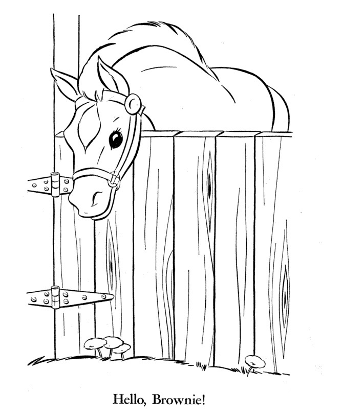 Coloring Page of Horse Photo – Animal Place