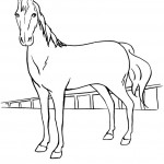 Picture of Coloring Page of Horse