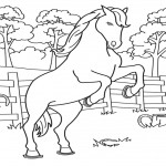 Coloring Page of Horses Picture