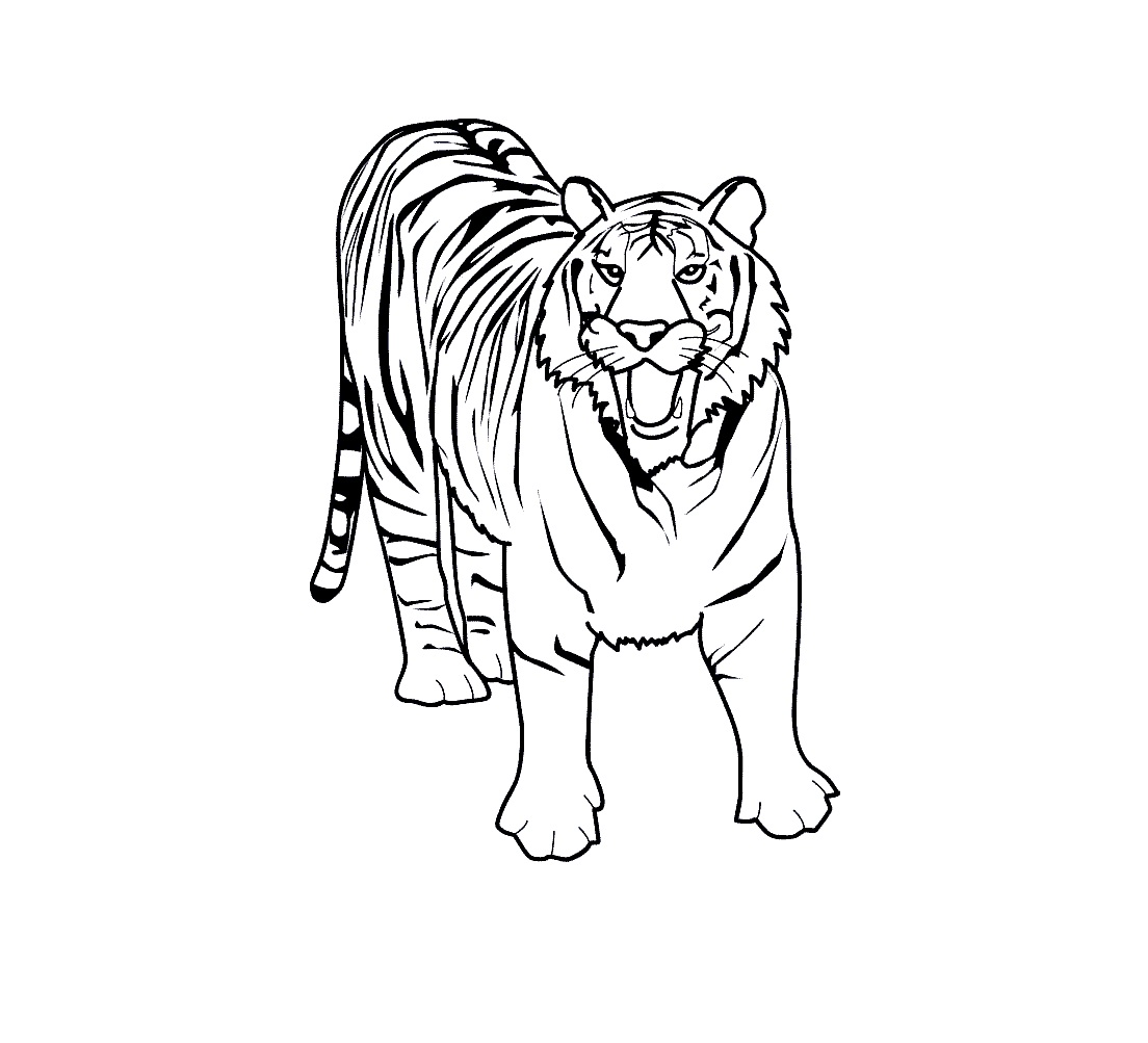 Free Printable Tiger Coloring Pages For Kids - Animal Place