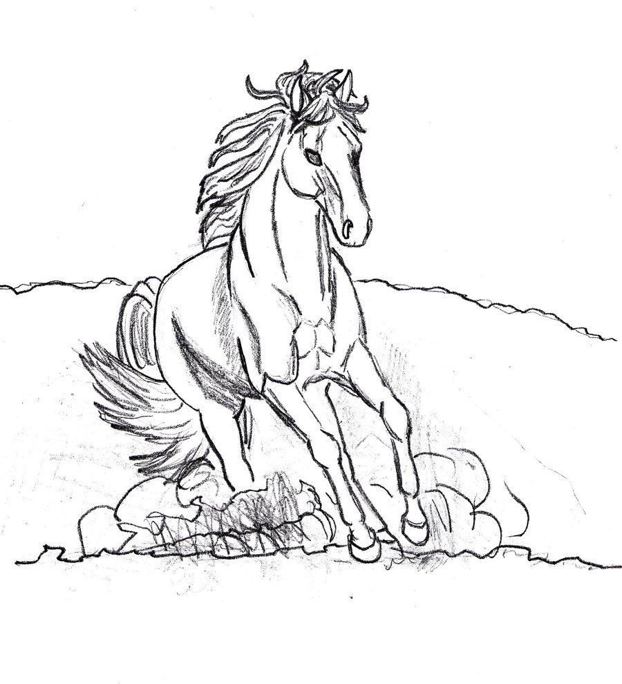 Coloring Pages of Horse Picture – Animal Place