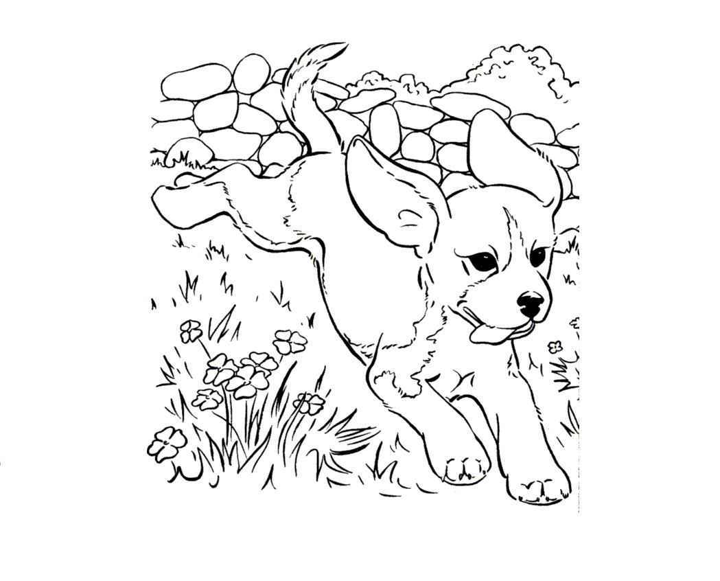 dog coloring pages cute