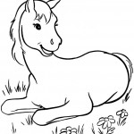 Cute Horse Coloring Pages Picture