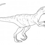 Picture of Dinosaur Coloring Pages for Kids Picture