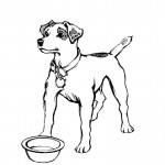 Image of Dog Coloring Pages for Kids