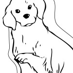 Dogs Coloring Pages for Kids Picture