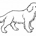 Image of Dogs Coloring Pages for Kids