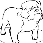 Picture of Dogs Coloring Pages for Kids