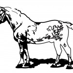 Farm Horse Coloring Page Image