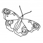 Photo of Free Butterfly Coloring Page