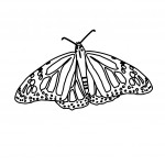 Photos of Free Butterfly Coloring Page