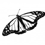 Picture of Free Butterfly Coloring Page for Kids