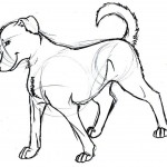 Free Dog Coloring Pages Photo