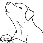 Photo of Free Dog Coloring Pages