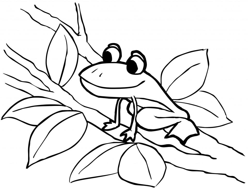 frog coloring page image  animal place