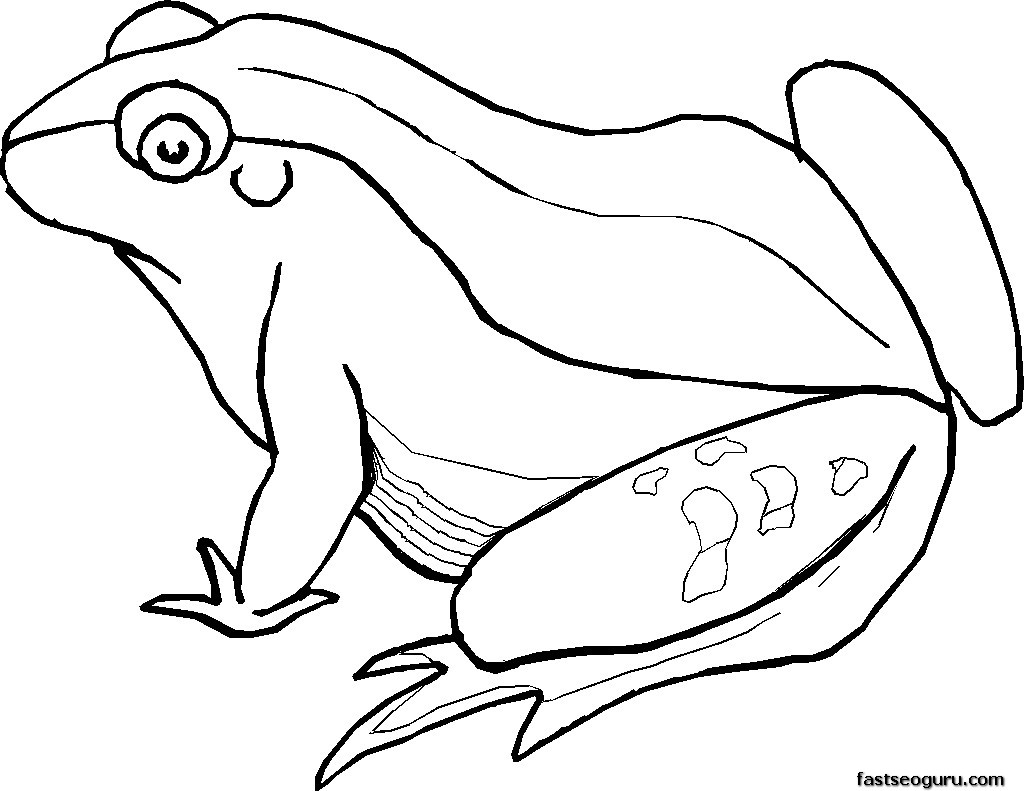 Free Printable Frog Coloring Pages For Kids