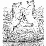 Horse Animal Coloring Pages Photo