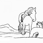 Horse Coloring Page Photo