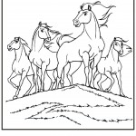 Horse Coloring Pages Picture