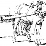 Images of Horse Coloring Pages