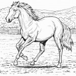 Photo of Horse Coloring Pages