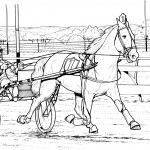 Photos of Horse Coloring Pages