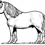 Pictures of Horse Coloring Pages