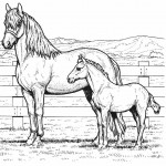 Horse Coloring Pages for Kids Image