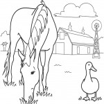 Horse Eating Grass Coloring Page Image