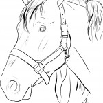 Horse Head Coloring Pages Image