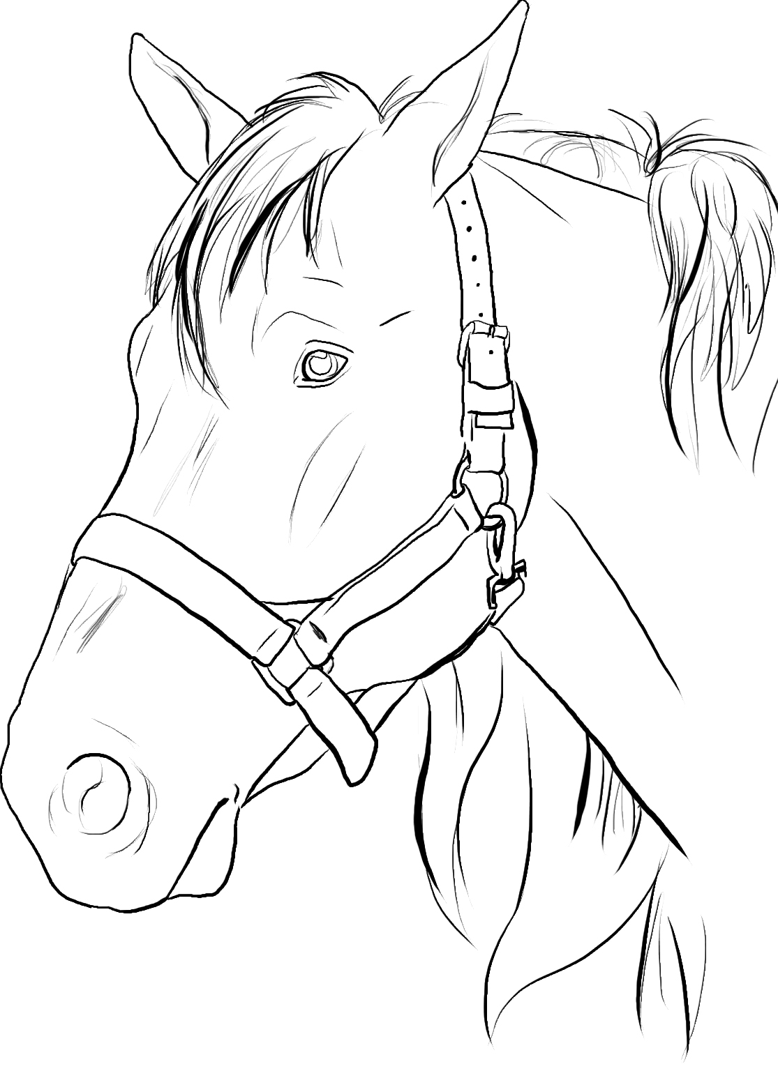 faked out horse coloring pages - photo #40