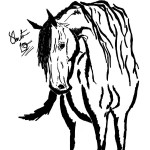 Horse Sketch Coloring Pages Picture
