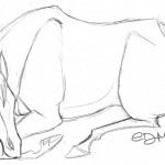 Horse Sleeping Coloring Page Photo