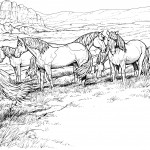 Pictures of Horses Coloring Pages