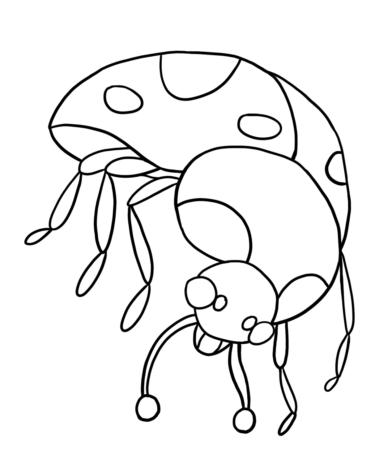 Ladybug coloring page  Free Printable Coloring Pages